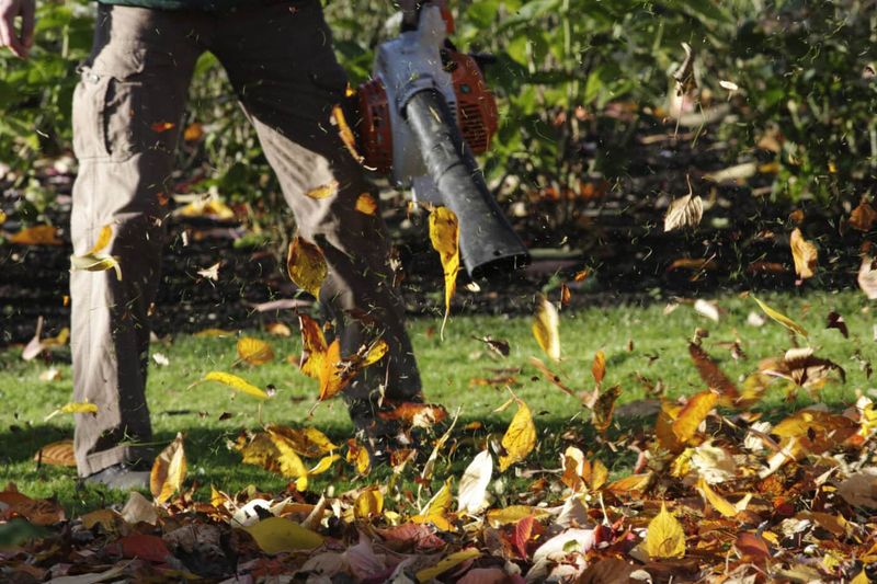 Gas-Powered Leaf Blowers In Westchester And Long Island Villages Gas-Powered Leaf Blowers In Westchester And Long Island Villages
