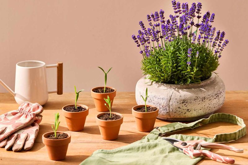 Gather Simple Tools For A Smooth Start