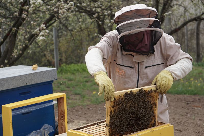 Gear, Bees, And Training For First-Timers