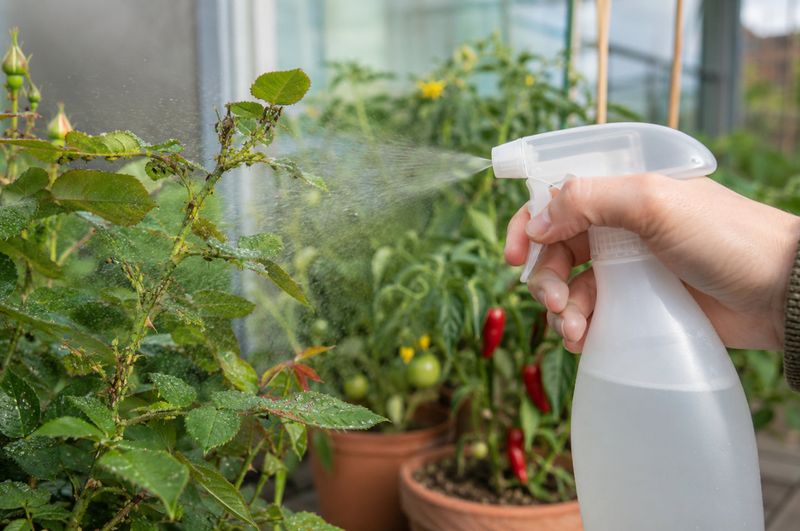 Gentle Fixes Work Best In North Carolina Fall Gardens