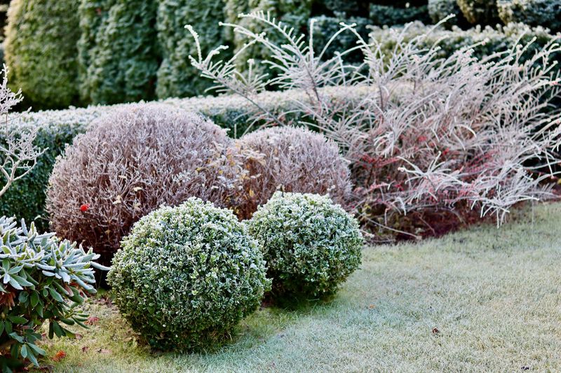 Gently Brush Off Snow After Storms