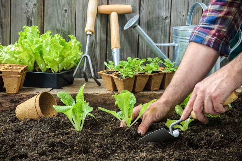 Getting Your California Beds Ready For Planting Getting Your California Beds Ready For Planting