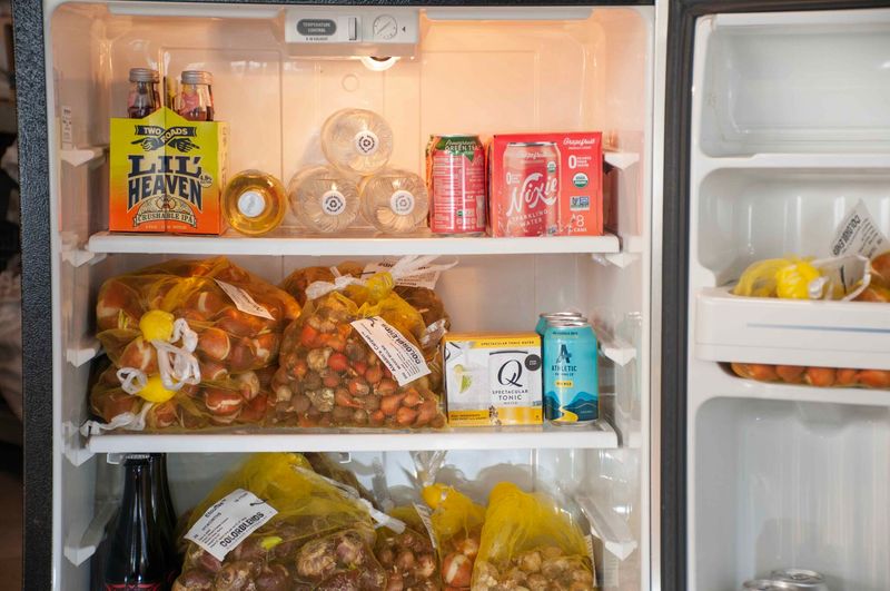 Give Bulbs About 8 Weeks Of Fridge Time