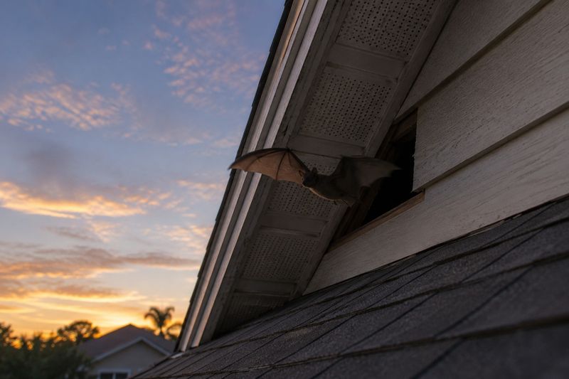 Give It A Clear Exit Through An Exterior Door Or Window Give It A Clear Exit Through An Exterior Door Or Window
