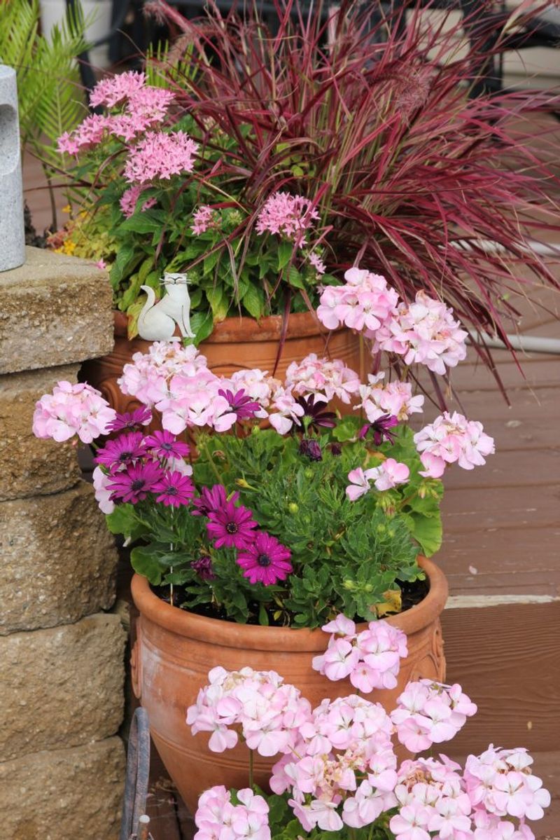 Give Roots a Roomy Container