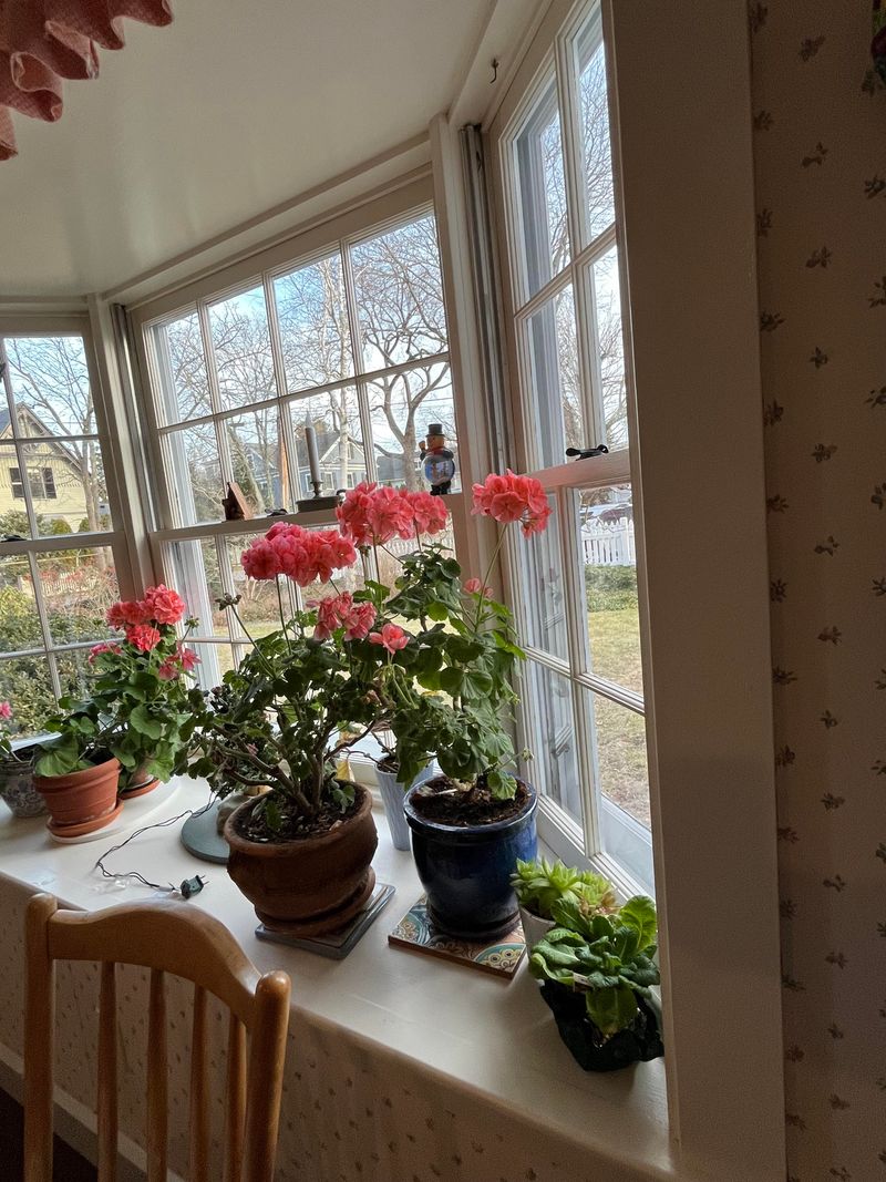 Give Them The Brightest Window You Own Give Them The Brightest Window You Own