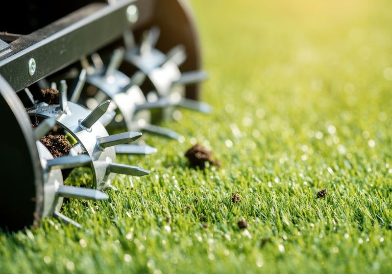 Give Your Lawn One Last Boost Give Your Lawn One Last Boost