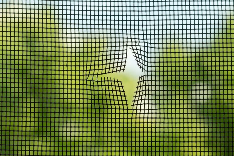 Give Your Screens A Close Look Give Your Screens A Close Look