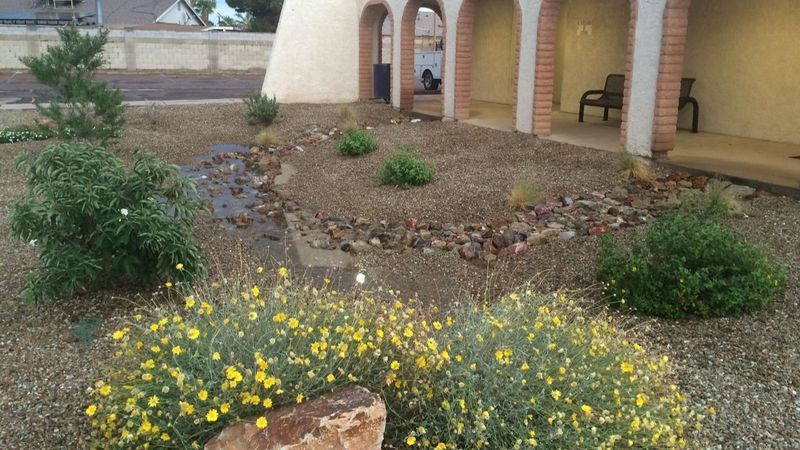 Give runoff a safe place to soak in