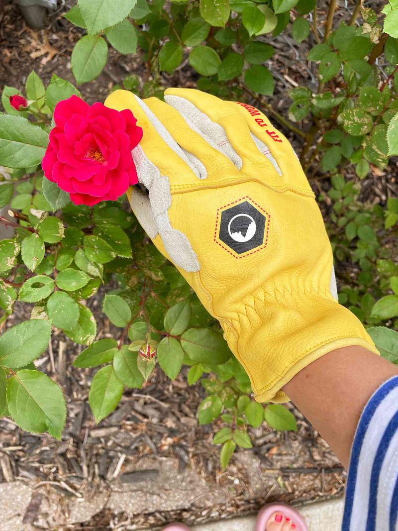 Gloves Help During Yard Work Gloves Help During Yard Work