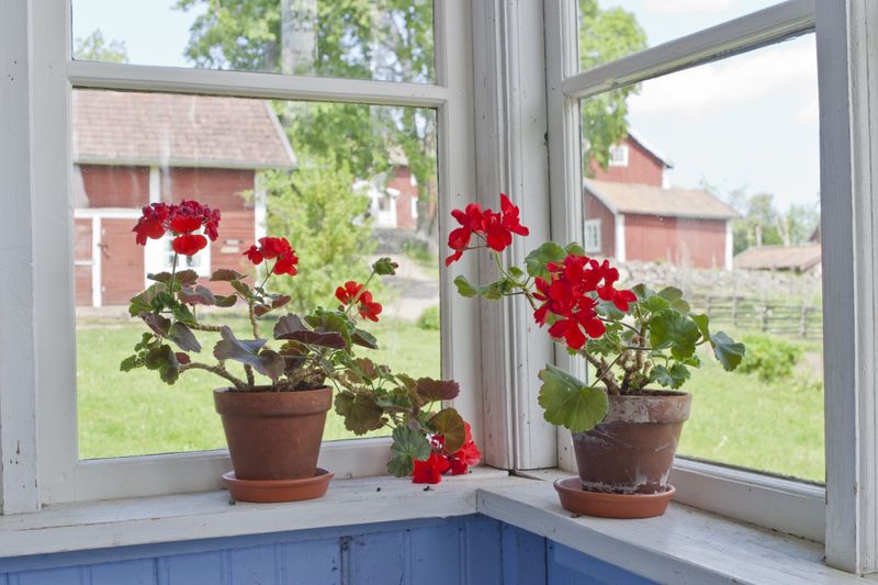 Go Easy On The Watering Can Until Spring Go Easy On The Watering Can Until Spring
