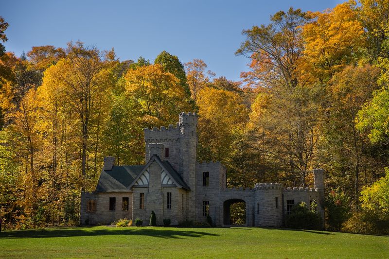 Golden Leaves Make Green Grass Pop