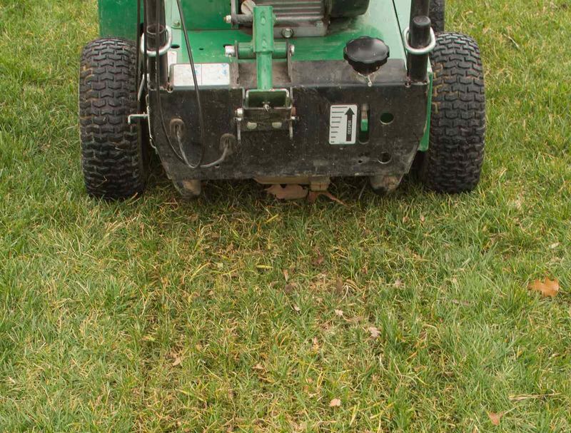 Good Seed To Soil Contact Helps New Grass Get Established Good Seed To Soil Contact Helps New Grass Get Established