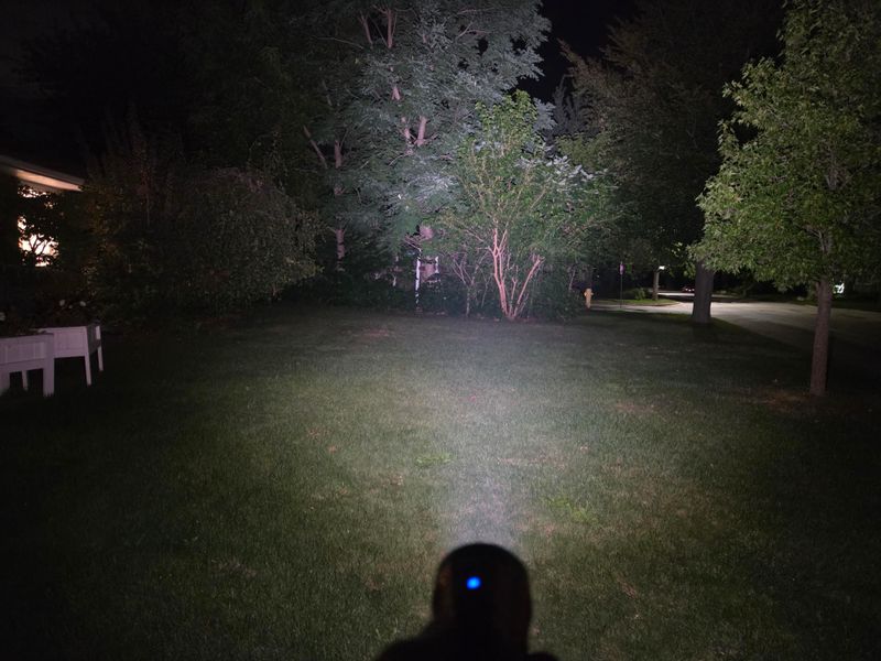 Grab A Flashlight And Check After Dark Grab A Flashlight And Check After Dark