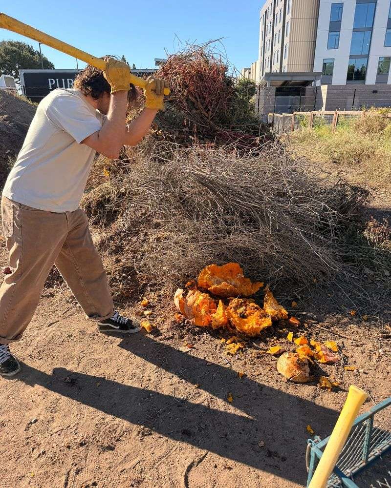 Grab A Shovel For Some Quick Chopping
