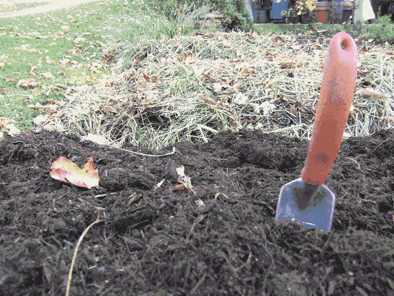 Grab A Soil Sample Before The Ground Freezes