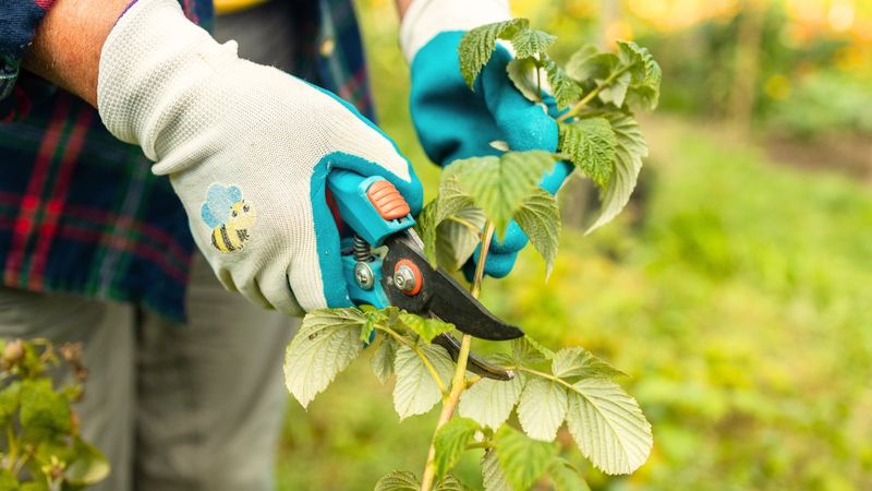 Grab Tools That Make The Job Painless Grab Tools That Make The Job Painless