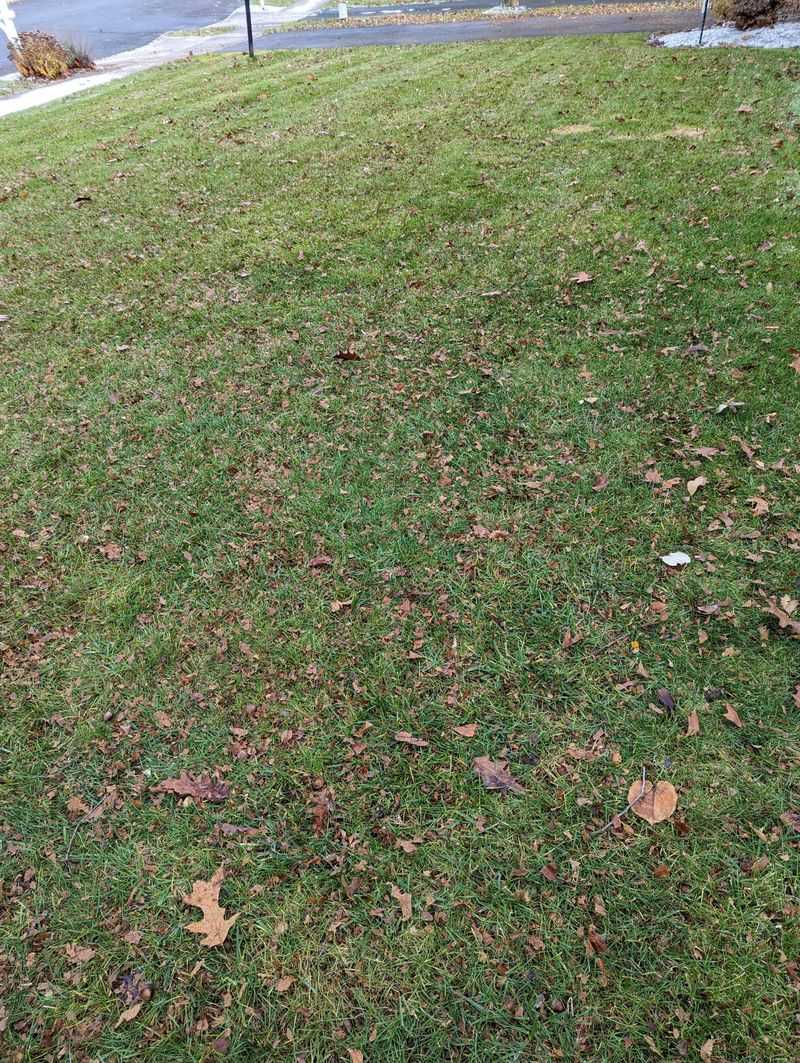 Grass Blades Should Peek Through After Each Pass