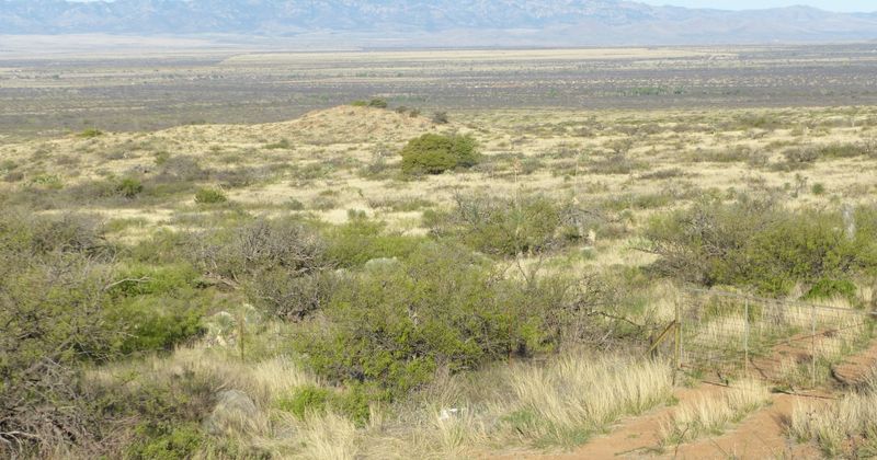 Grassland change had multiple pressures Grassland change had multiple pressures