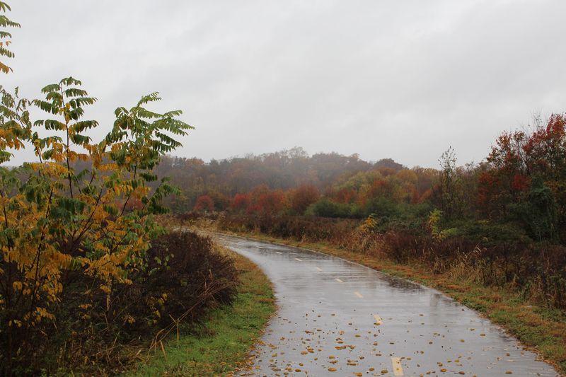 Gray Skies And Soaking Rain Wash Out The Reds