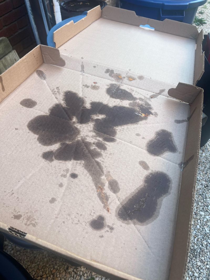 Greasy Pizza Boxes Belong In The Compost Bin Greasy Pizza Boxes Belong In The Compost Bin