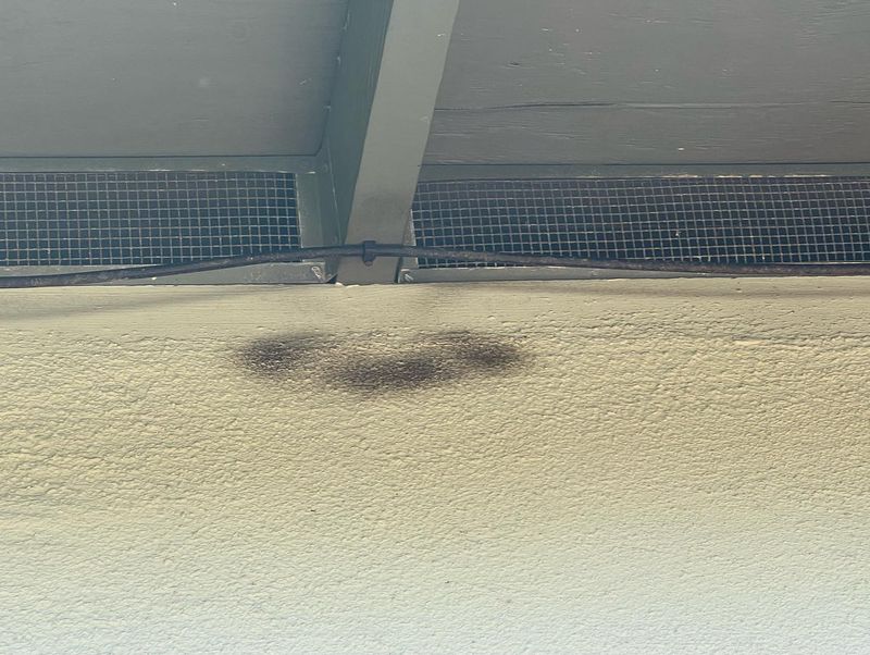 Greasy Smudges Can Mark Their Favorite Routes
