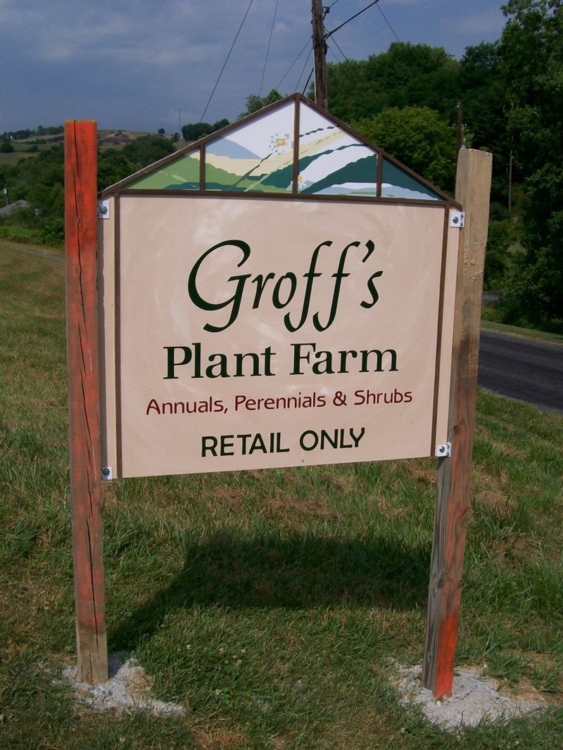 Groff’s Plant Farm In Kirkwood