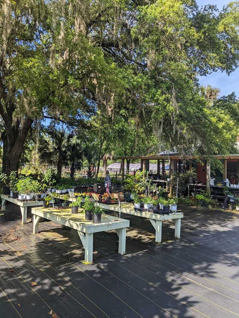 Grow Hub, Gainesville