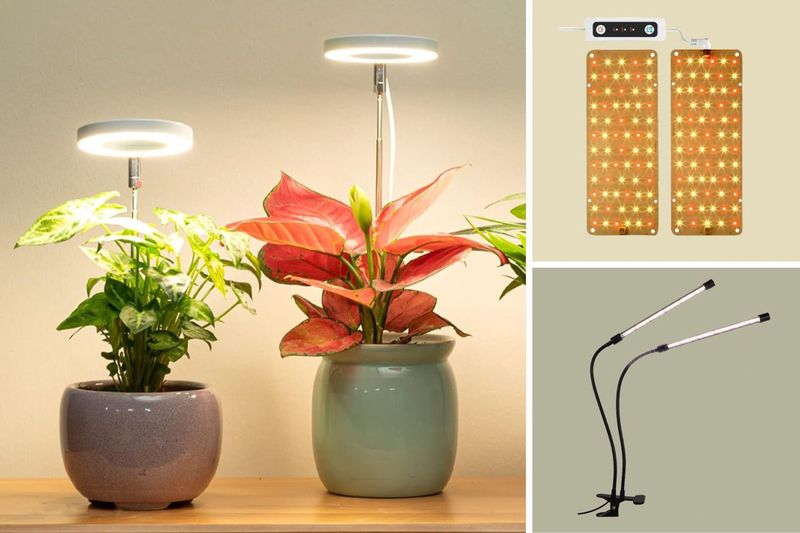 Grow Lights Keep Harvests Coming All Winter Grow Lights Keep Harvests Coming All Winter