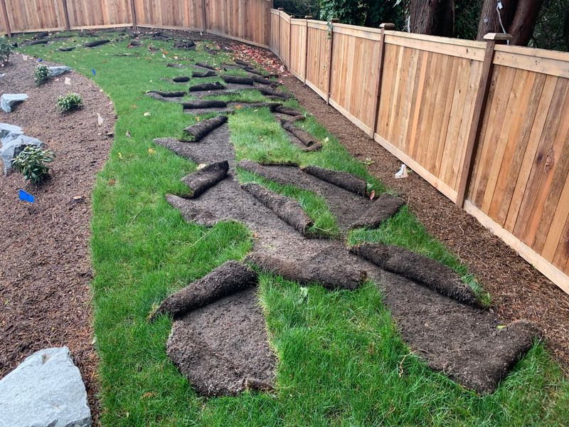Grubs In The Lawn Add To The Menu