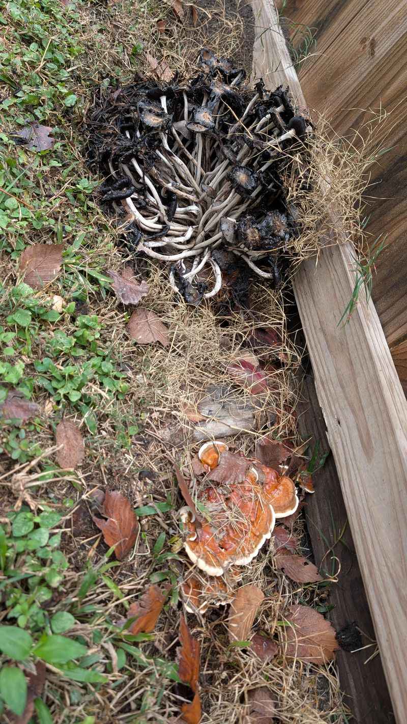 Gutters And Downspouts May Be Dumping Water There