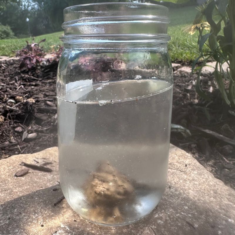 Gypsum Rarely Improves Drainage In Typical Clay Soil