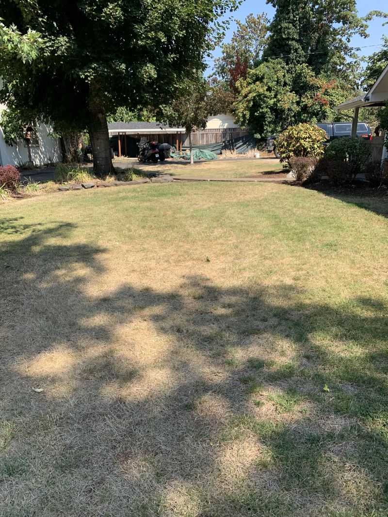 HOA Rules Can’t Override Water Restrictions