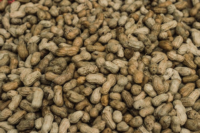 Hang Bundled Peanut Plants In A Dry Garage Or Shed