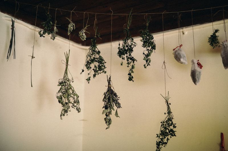 Hang Bundles Where They Can Dry Well
