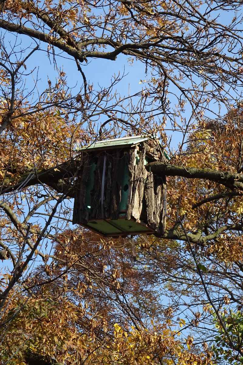 Winterizing Boxes Where And When To Hang An Owl Box In Your Pennsylvania Yard