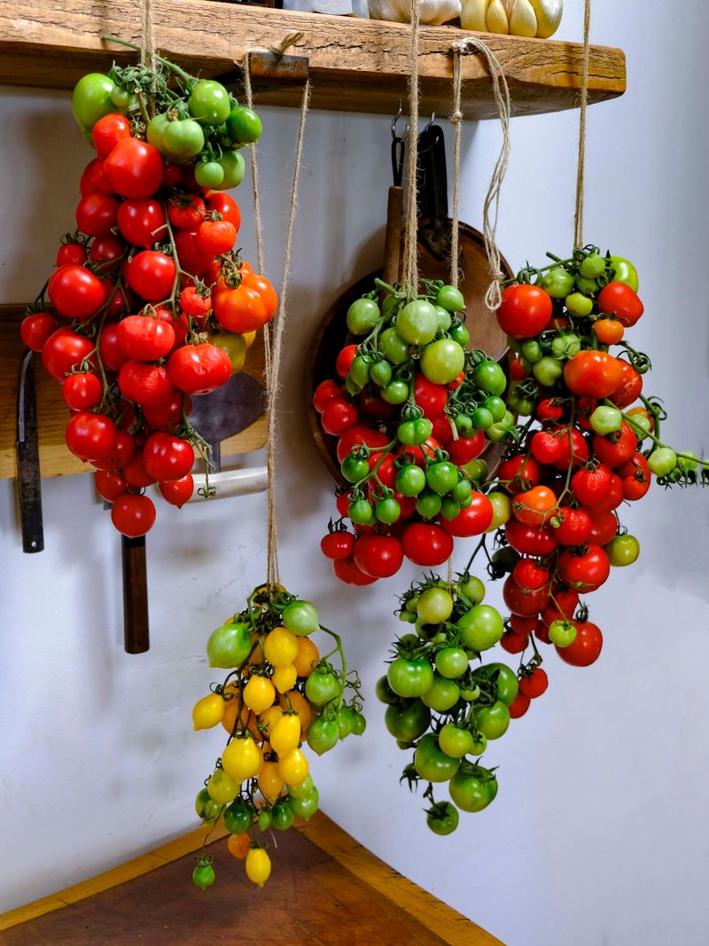 Hang The Whole Vine In Your Garage