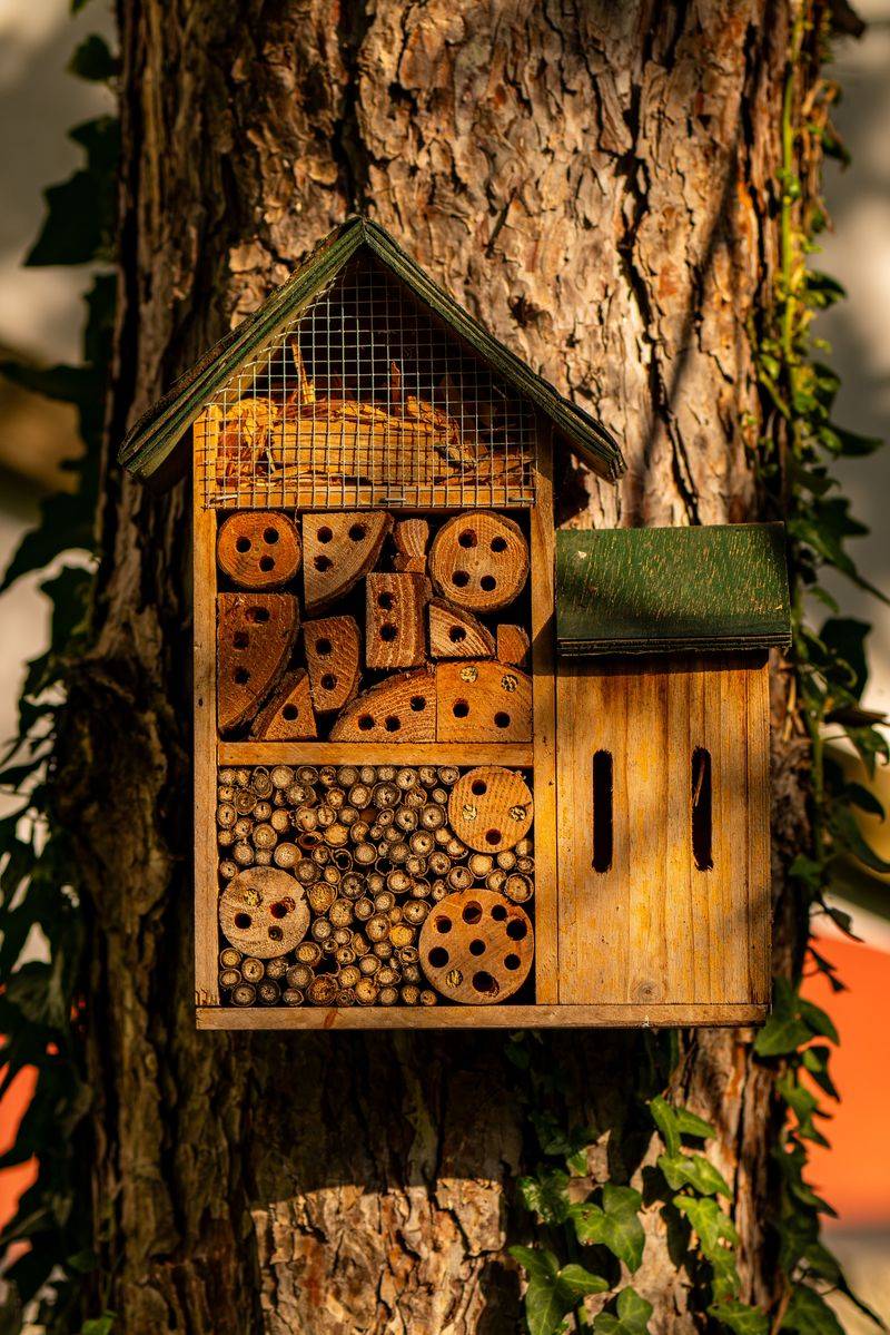 Hang Your Bee Hotel Where Morning Sun Hits First