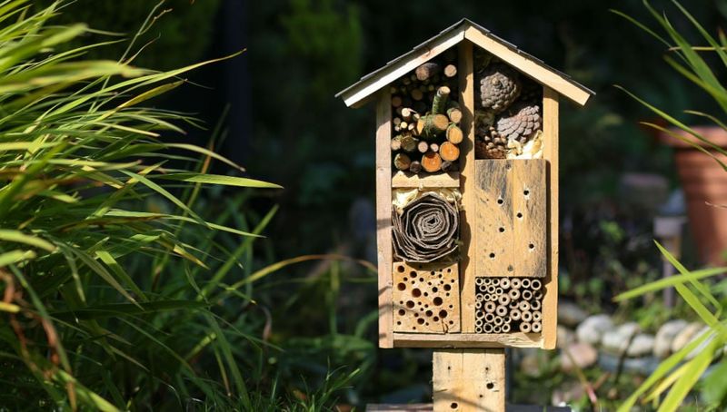 Hang the Bee House Facing Morning Sun, Not Swinging From a Branch