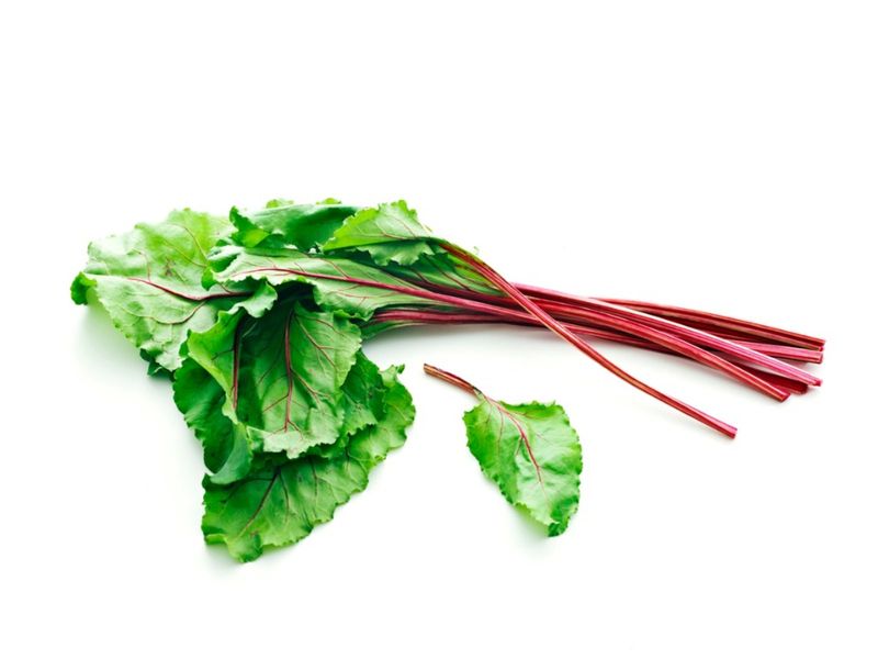 Harvest Greens Thoughtfully Harvest Greens Thoughtfully