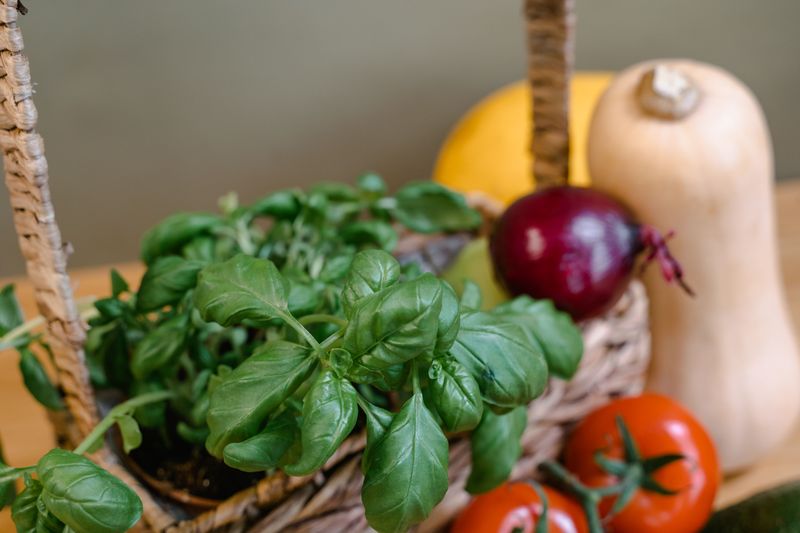 Harvest The Whole Plant At Once