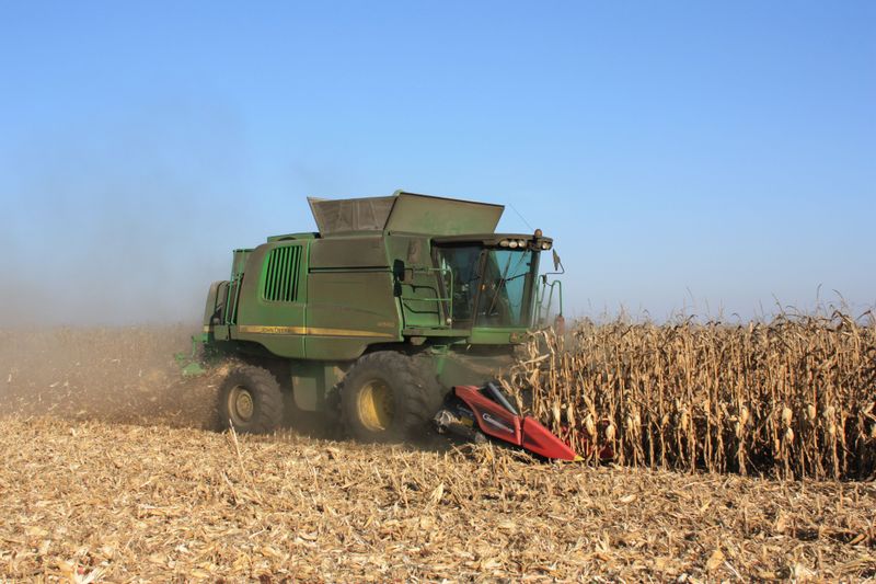 Harvest Warm Season Crops Before The Temperature Drops