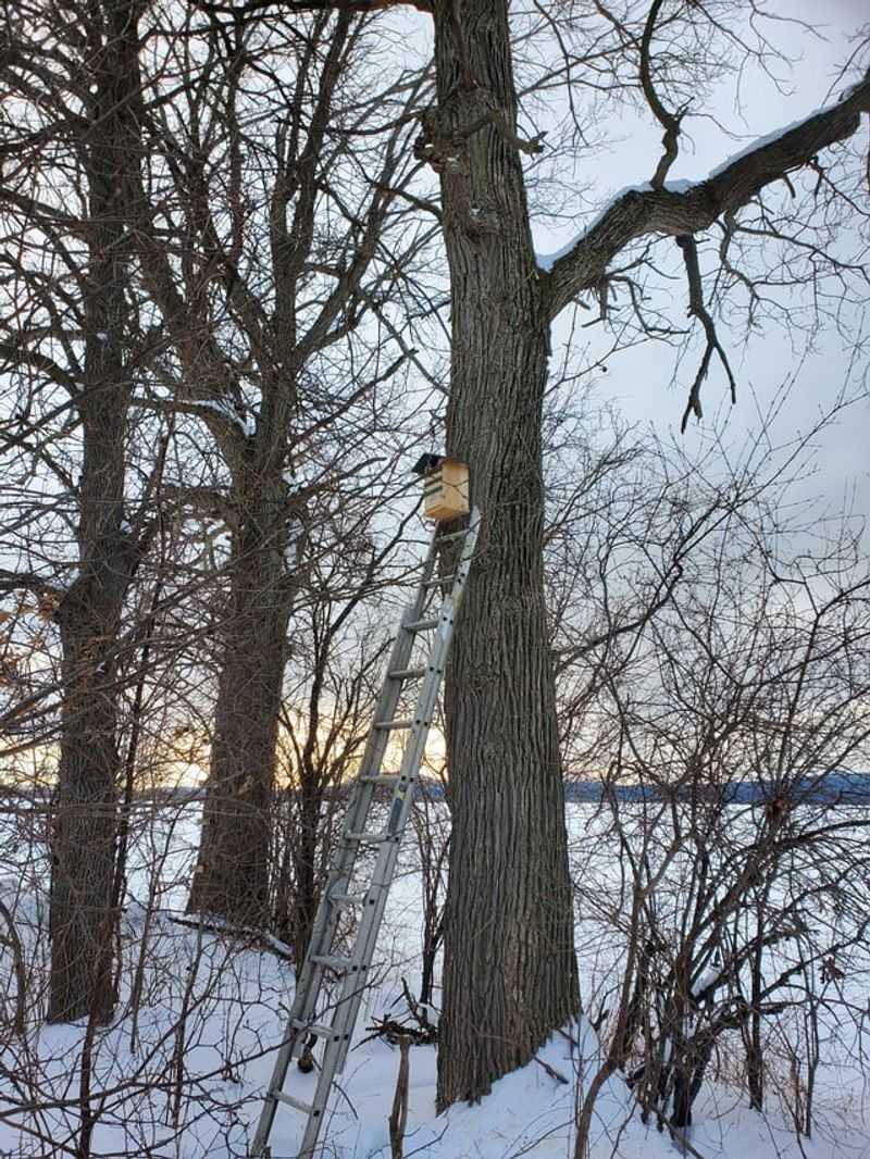 Have It Ready Before Late-Winter Nesting Begins