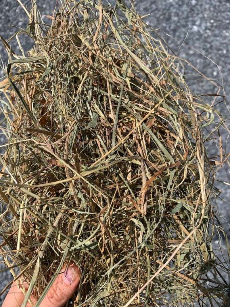 Hay And Straw Are Not The Same Thing