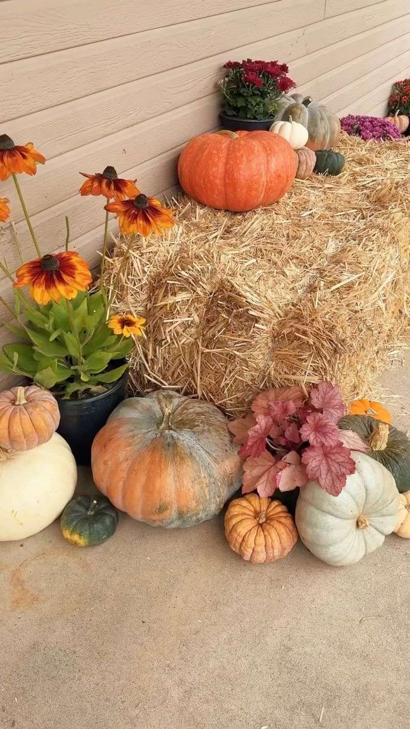 Hay Bales Make A Cozy Nesting Spot Hay Bales Make A Cozy Nesting Spot