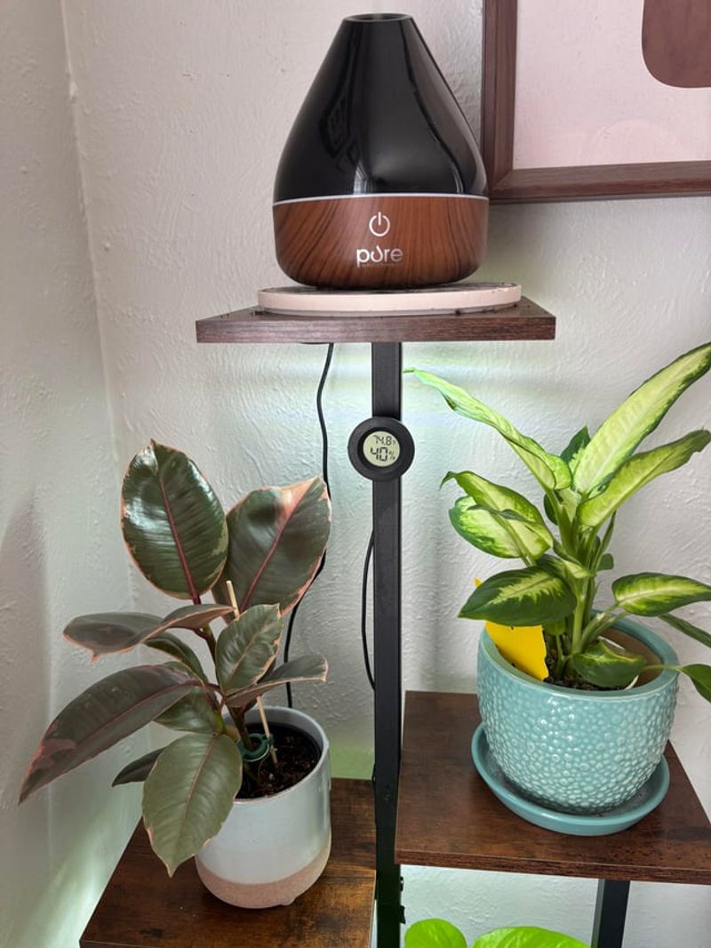 Heated Indoor Air Is Dry