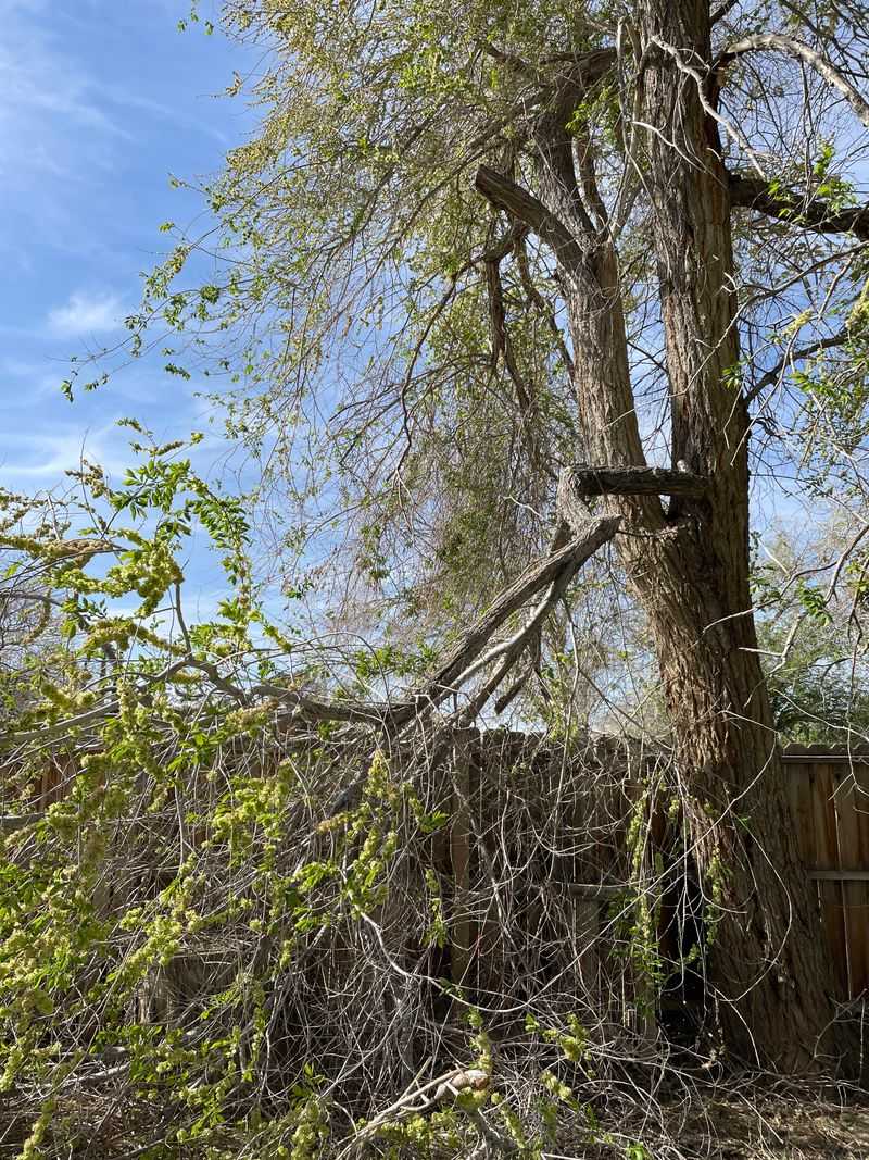 Heavy Cuts Can Create Liability