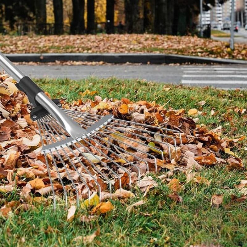 Heavy Raking Can Pull Up Tender Sprouts Heavy Raking Can Pull Up Tender Sprouts