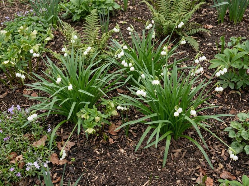 Heavy Red Clay Barely Slows This Spring Bulb Down Heavy Red Clay Barely Slows This Spring Bulb Down