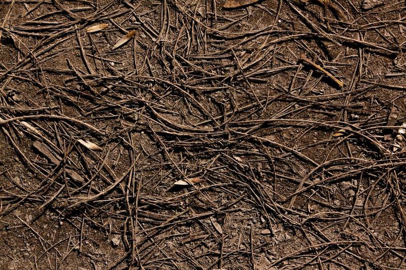 Help Keep Soil In Place